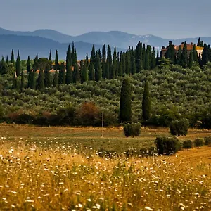 https://tenuta-di-poggio-cavallo.it-tuscanyhotel.com